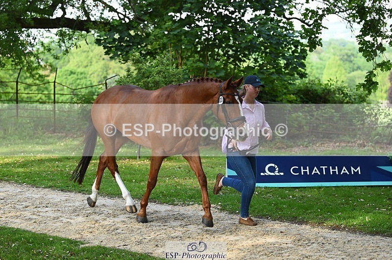 230525-173158-01507 - 323-CHESTNUT_BOBBY-Molly_Fletcher-WEDTrotUp+DR