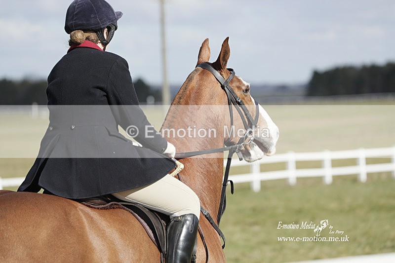 PtP 260223 412 - South & West Wilts Point-to-Point Larkhill 26/02/23