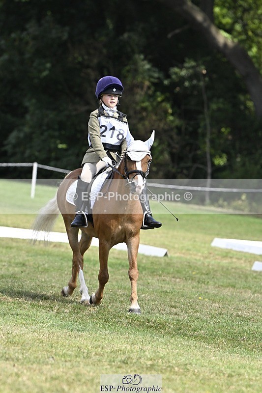 250822A-121749-22680 - DR 11.00 to 12.00