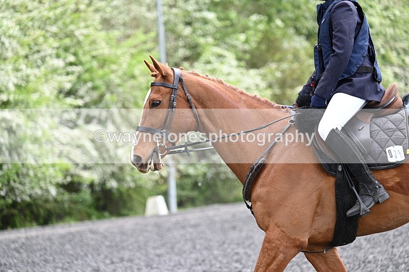 WJ7_0804 - Time 14:01 to 14:12