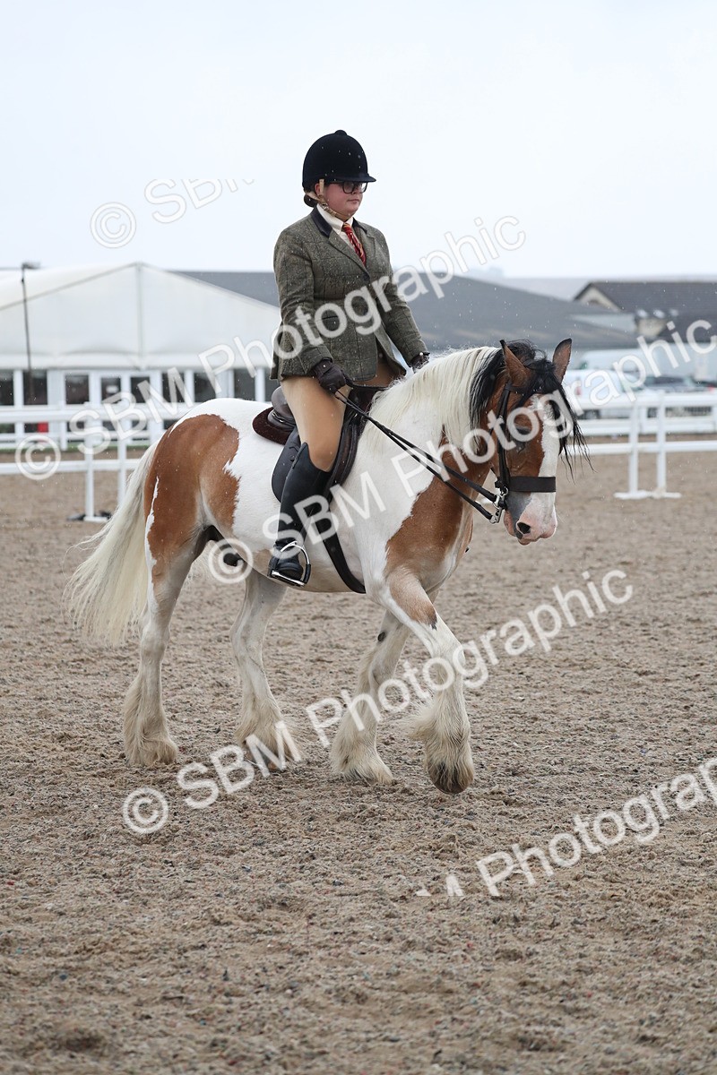 SBM_20477 - Class 601 - 2025 Area - Ridden Diamond