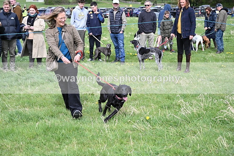 WJ6_8336 - Class 4 Prettiest Bitch