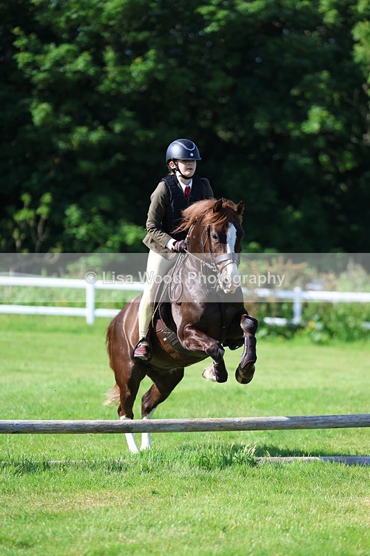 3E7A5928 - Class 27: Novice Working Hunter Pony