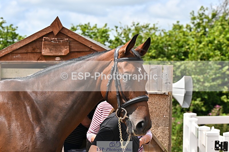 240718A-105306-01565 - Trot Up 1pm to 2pm