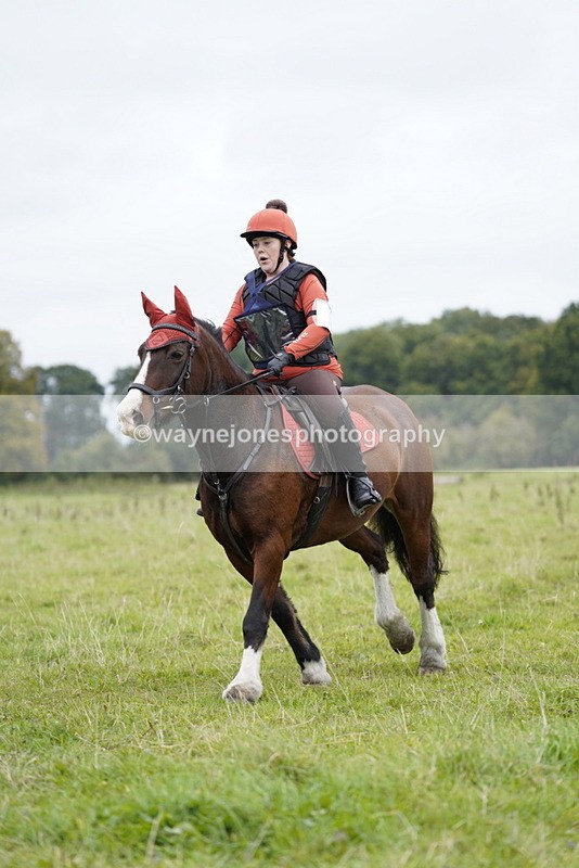 _DSC6565 - Time at Photographer 10:13 to 10:42