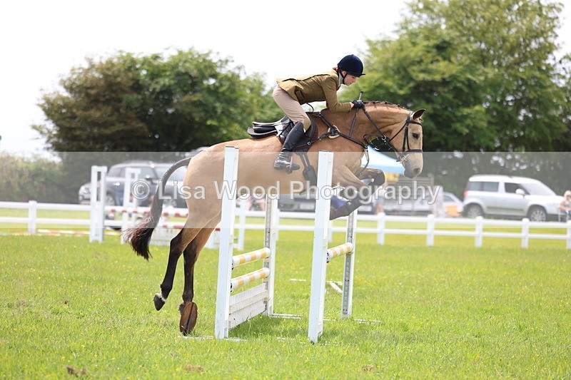 3E7A1427 - Class 13: Senior British Novice/90cm open