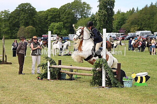 IMG_3066 - Working Hunter