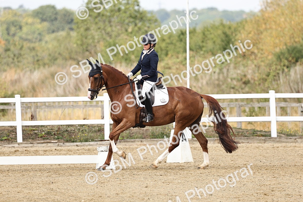 SBM_018241 - Class 16 - Novice 5 - 11.12-12.01