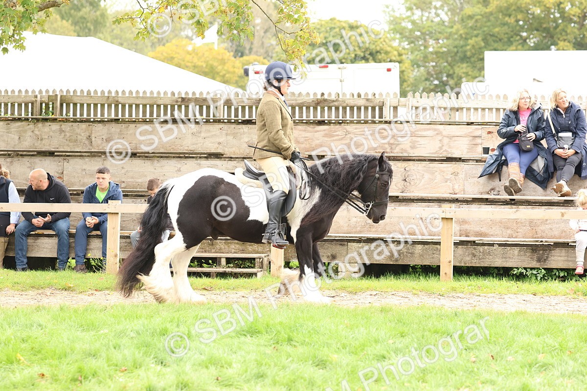 SBM_64424 - S58 - Coloured Pony Ridden