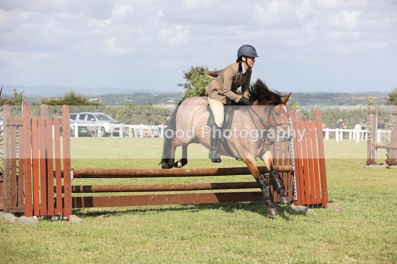 JPP_2647 - Class 20: Working Hunter 70cm