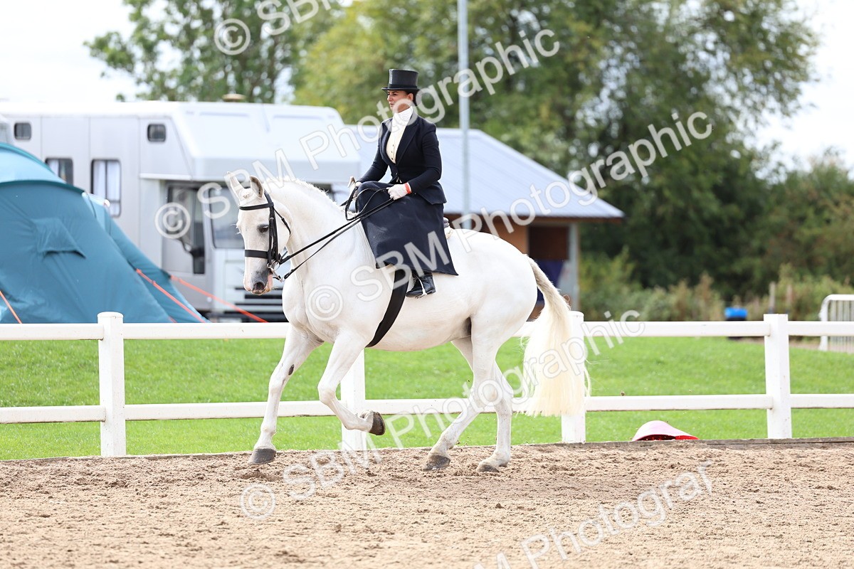 SBM_03418 - Class 24 - SSA Concours d'elegance (any age)