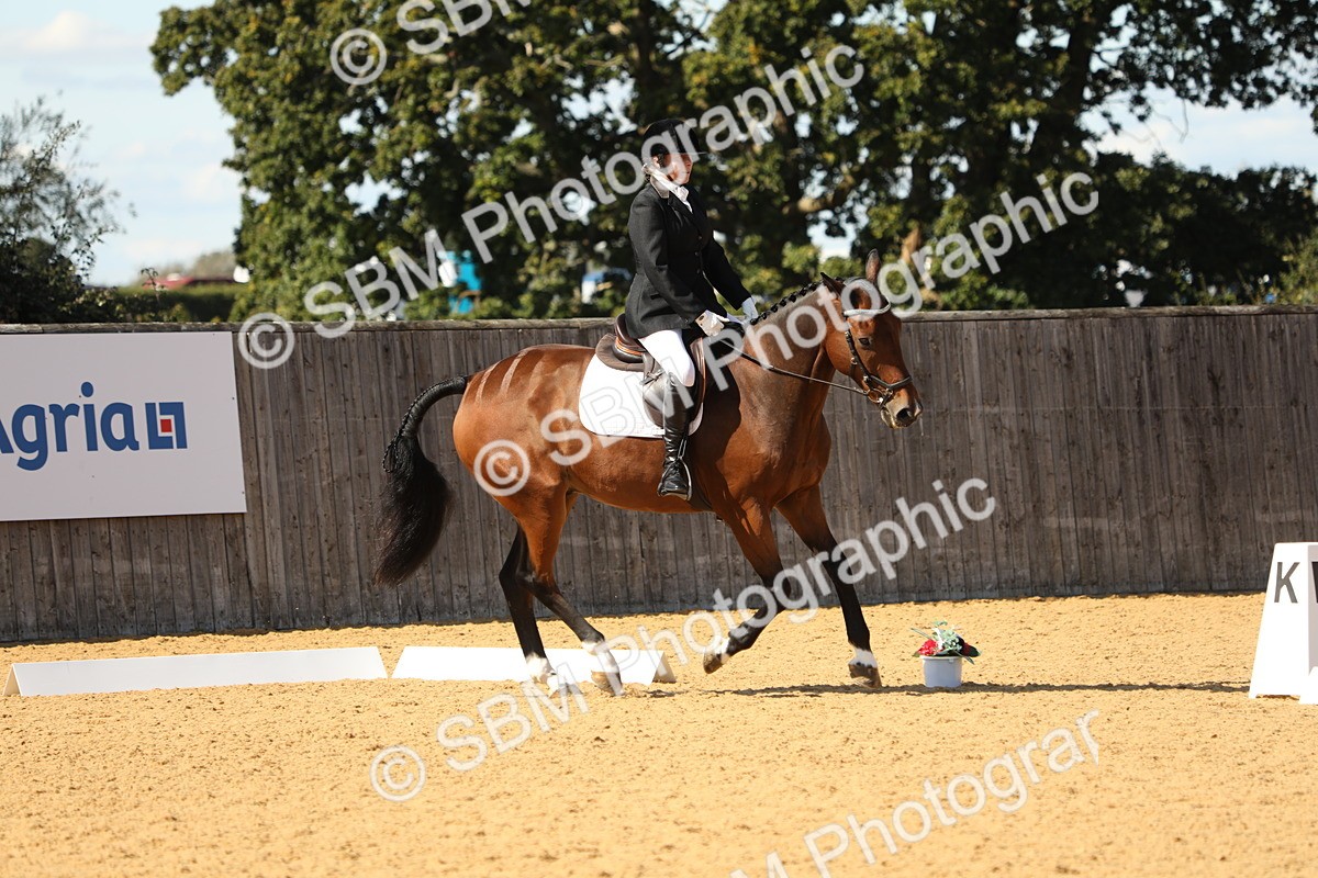SBM_24442 - D17 - Grand Tour Championship - Novice 27