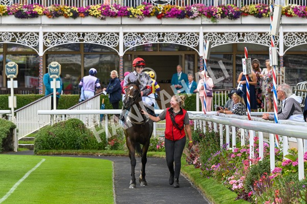 270724-Race 5-Theme Park-7448 - Race 5 4.35pm Sky Bet Prize Drop Handicap