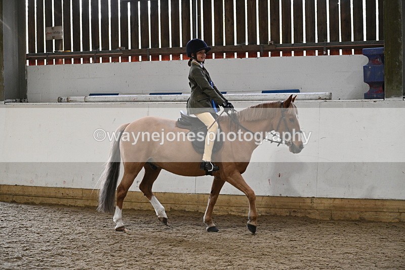 WJ7_4464 - Afternoon Champs