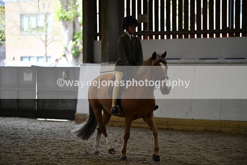 WJ5_6229 - Class 9 Ridden Veteran