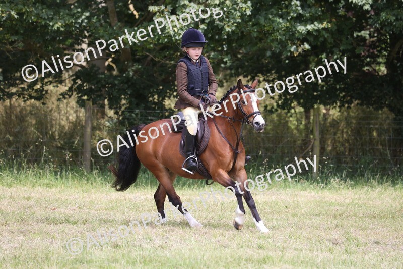 20260614-2183 - Class 21 - Novice Working Hunter Pony