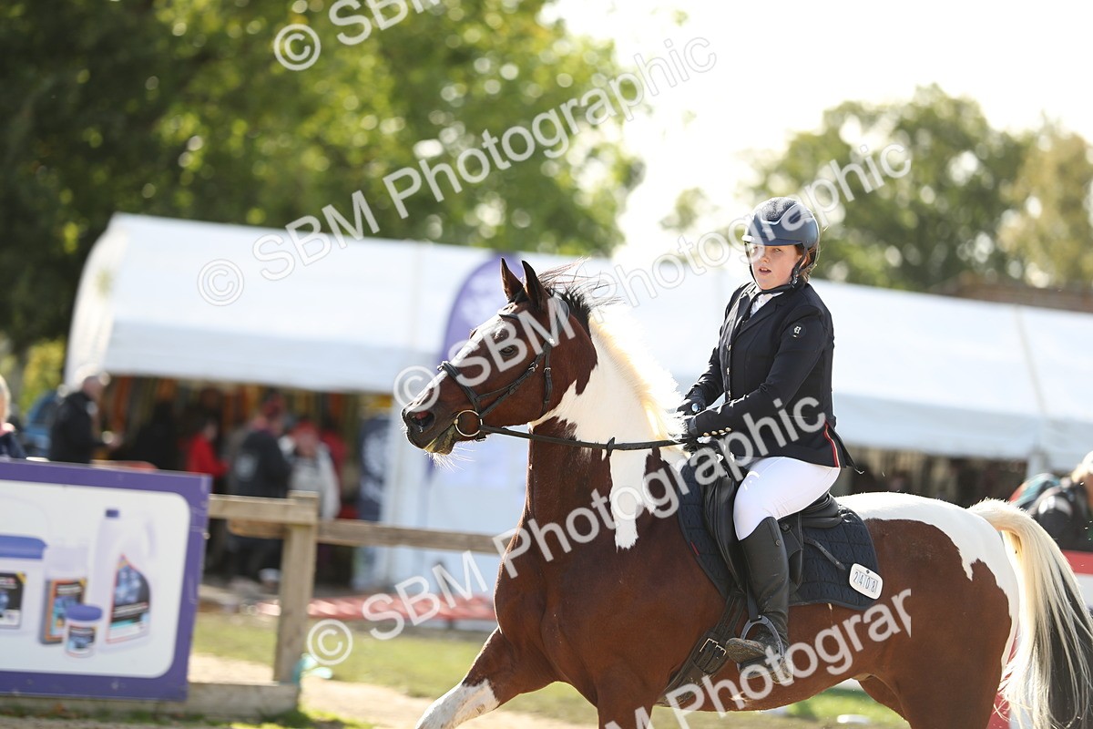 SBM_50756 - J23 - Junior Horse 70cm Championship
