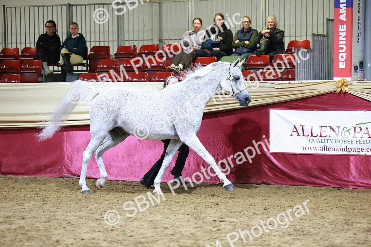 SBM_21203 - Class R - Veteran Champ