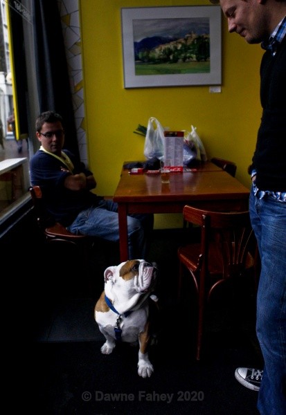  - Dordrecht - a closer look