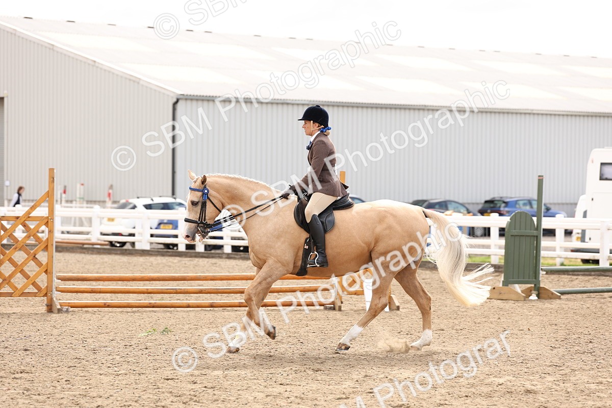 SBM_04232 - Class 54 - Riding Club Horse/Pony