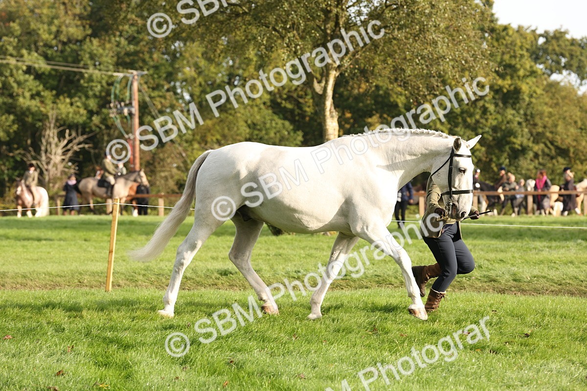 SBM_54688 - S53 - Hunter In Hand