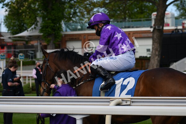 yr13052021r7-4 - Race 7 4.50pm Autohorn Stakes