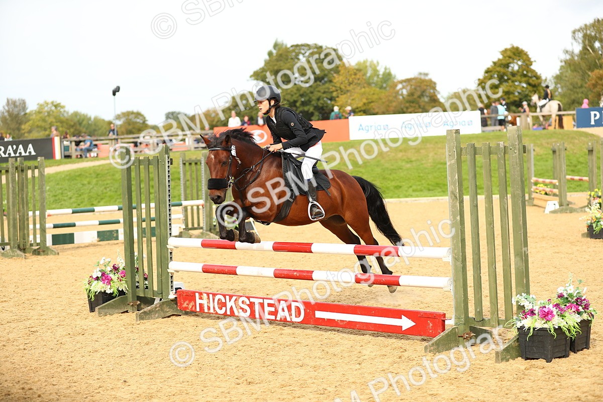 SBM_70269 - J18 - Junior Pony 85cm Championship