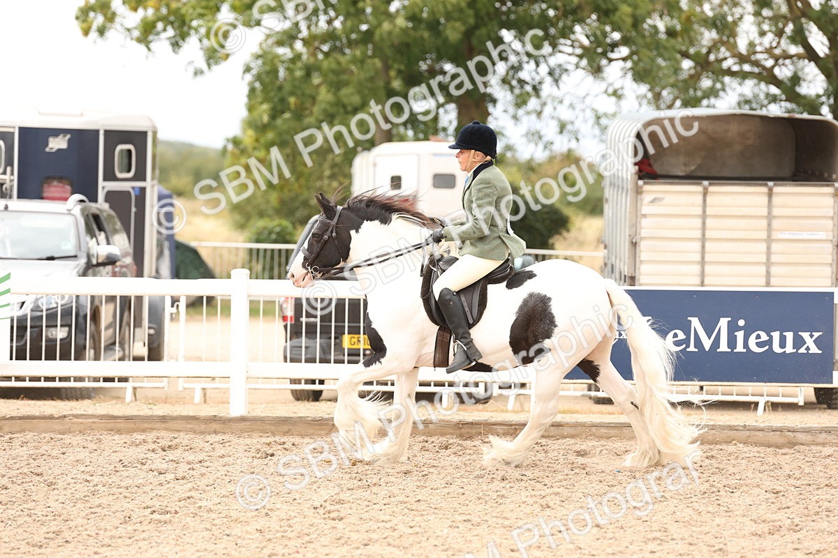 SBM_19688 - Class 216 - Ridden Traditional - Native Cob