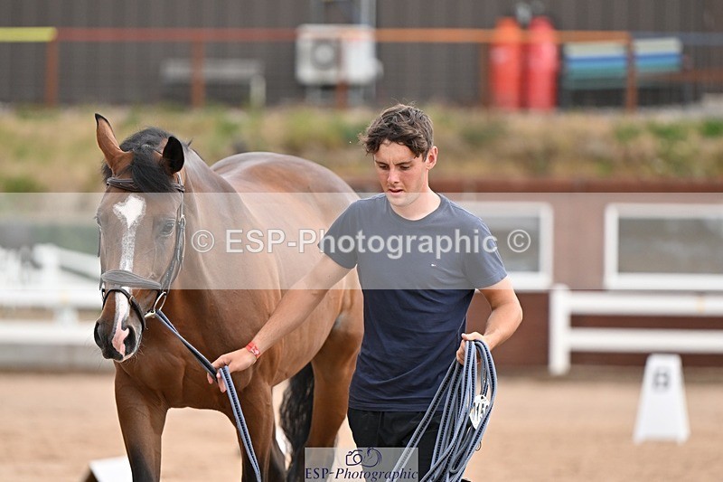 250716-145533-01515 - Trot Up 2.30 to 3.30