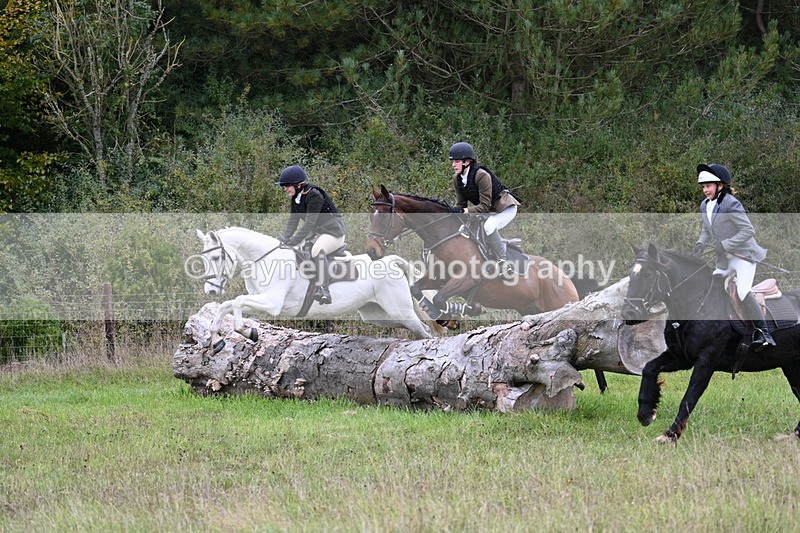 WJ7_3899 - Camera 1 Line 1