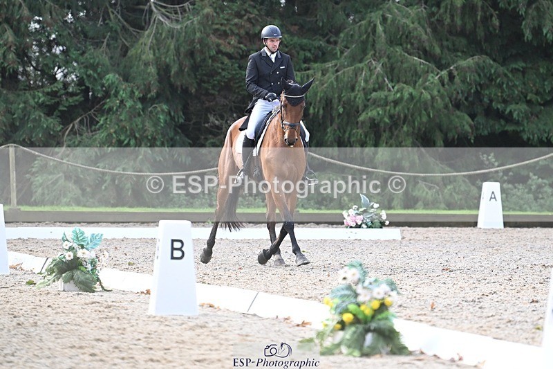 231019-110431-01721 - 036-DIAMANT.CRYSTAL.BLUE-Adam.Trew-DR