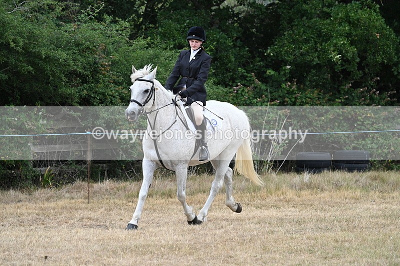 WJ7_0941 - Class 7 Riding Club Show Horse