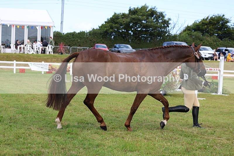 3E7A1104 - Class 8: Open Riding Horse/Hack