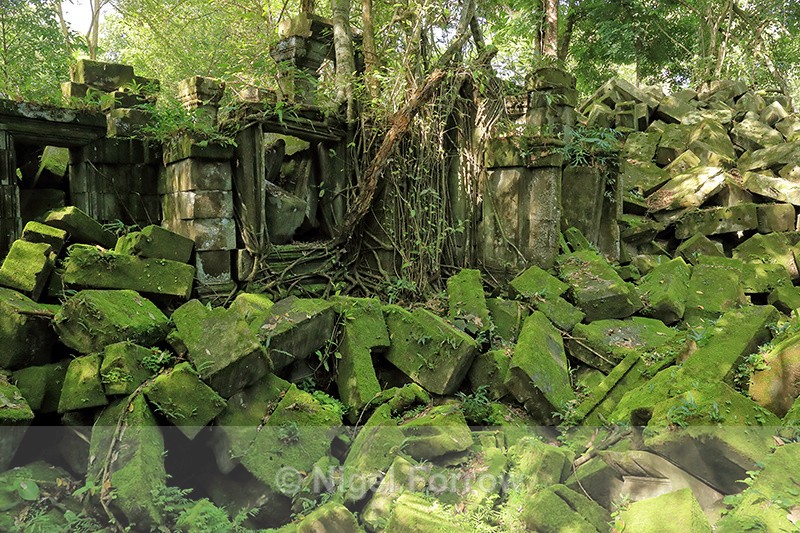 Jumbled stones at Beng Mealea, Cambodia - Cambodia