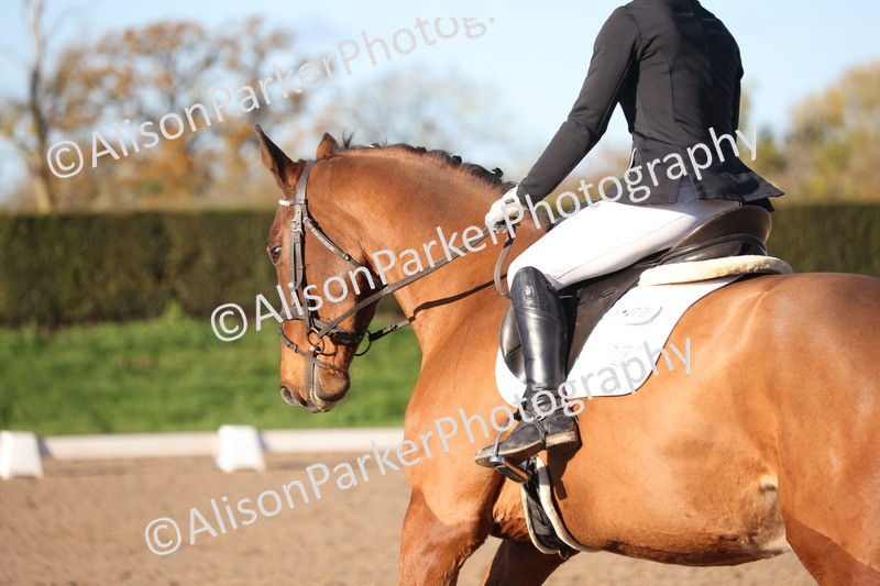 20251102-0367 - Class 2 - Prelim 6