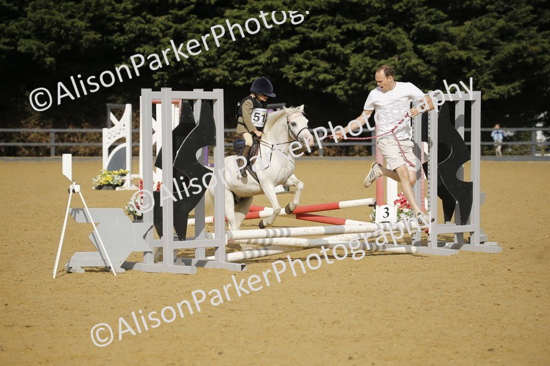 20250622-1270 - 40cm