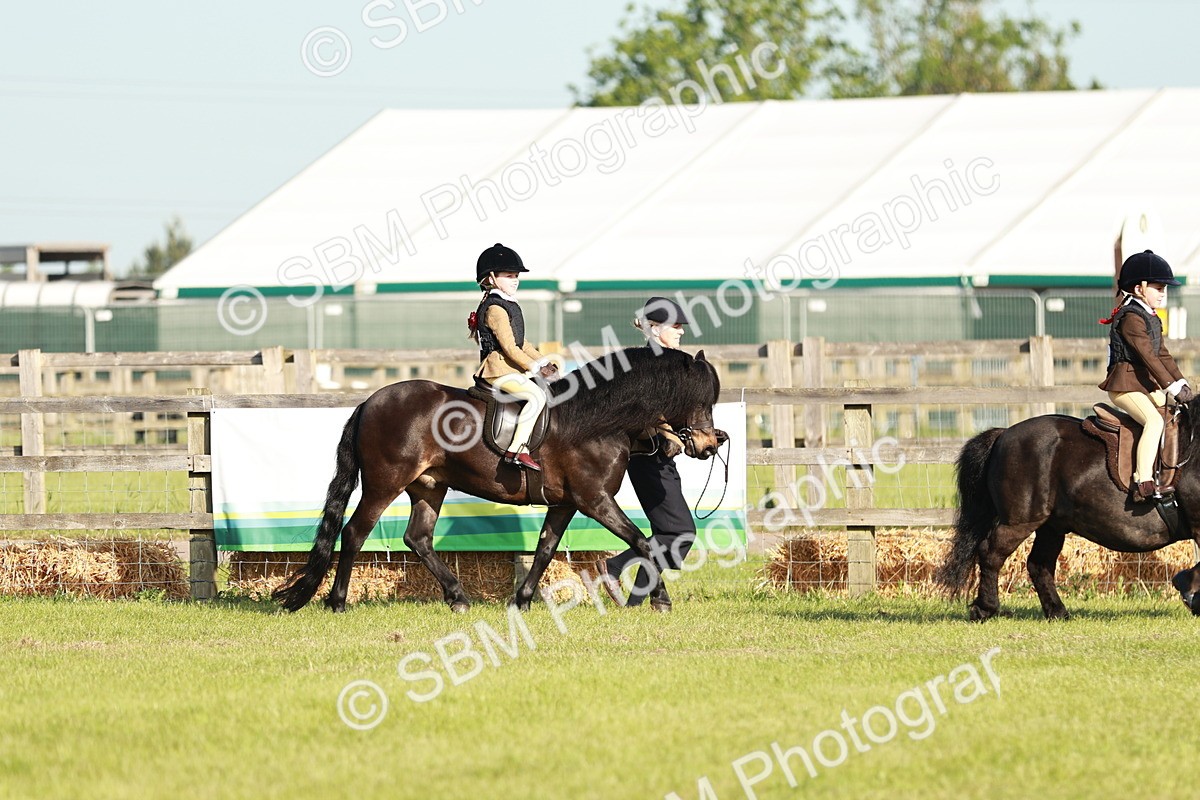 SBM_11030 - Class 106-107 - BSPS LIHS Working Sports Pony