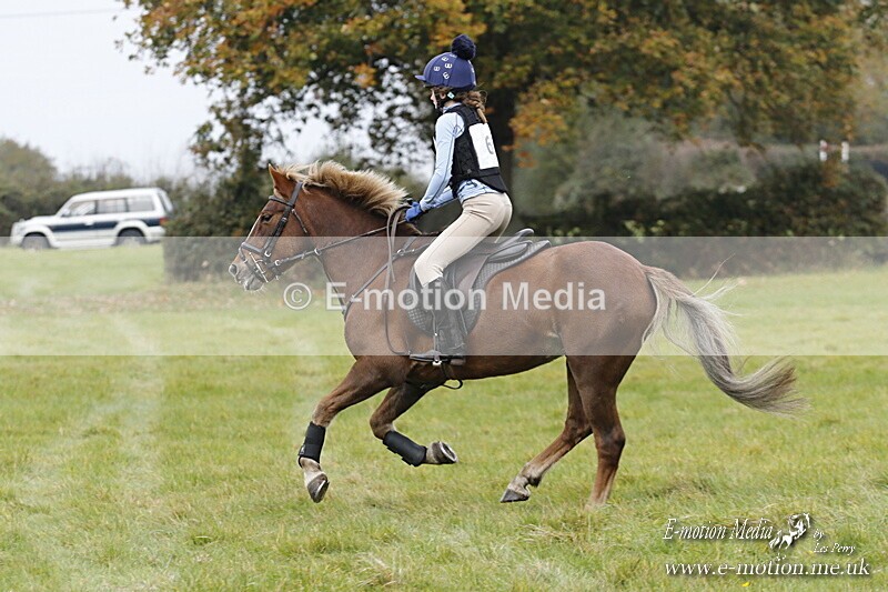 WWHT 181020 WWHT 181020 630 - WWEC Open Novice (0.80m) 18/10/20