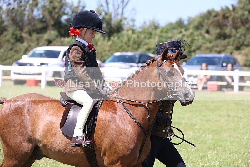 JPP_2181 - Class 20: Tiny Tots Working Hunter Pony