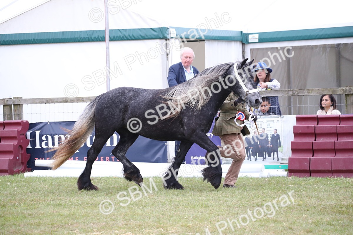 SBM_09795 - Ch 50 - Price Family Supreme In Hand