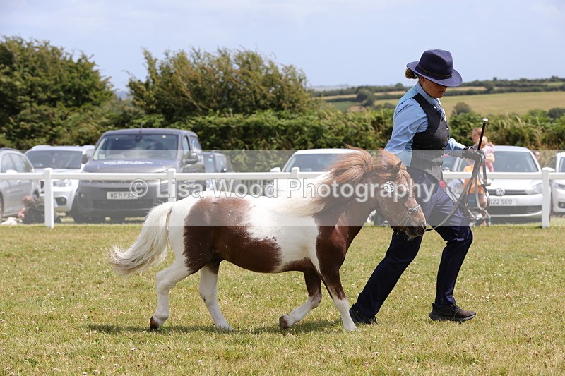 1X9A4843 - Class 35: Veteran In Hand
