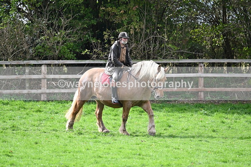 WJ7_9297 - Time 12:55 to 13:13