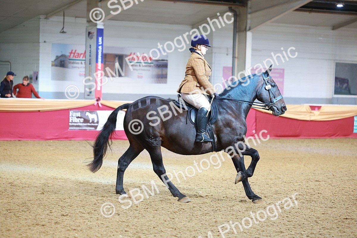 SBM_09510 - Class 102 - HOYS Veteran Qualifier - Ridden Veteran