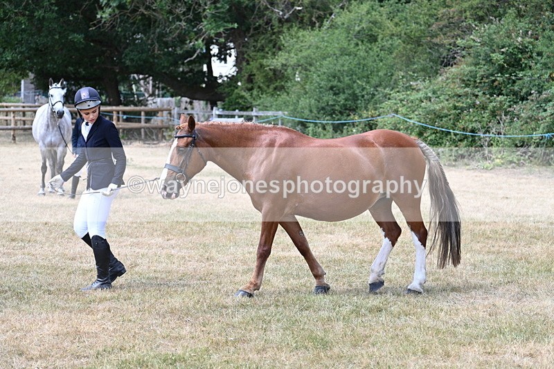 WJ7_1961 - Class 4a Prettiest Mare 14.2hh and over hand