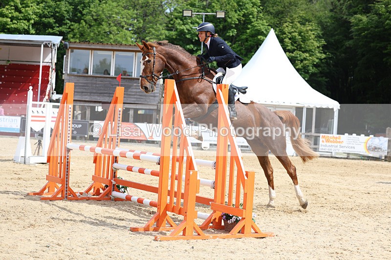 3E7A8785 - Class 4: Senior British Novice/90cm open