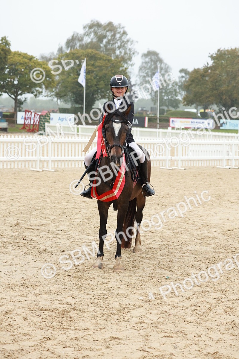 SBM_73443 - Supreme Championship Junior Pony 60cm & 65cm