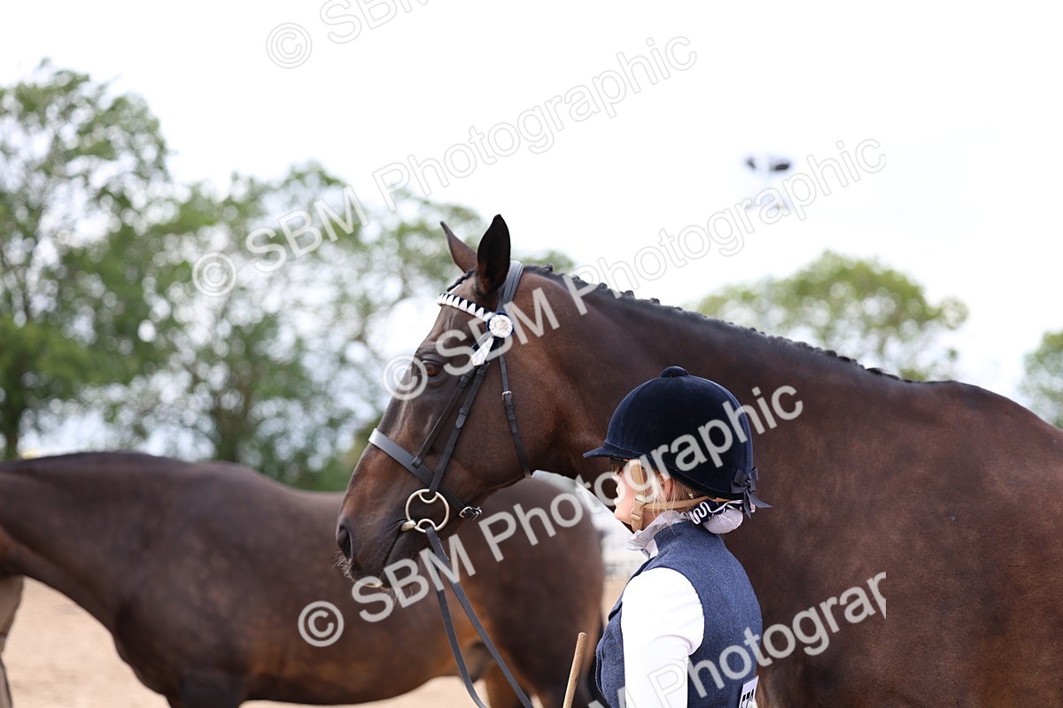 SBM_05769 - Class 28 - IH Veteran Horse