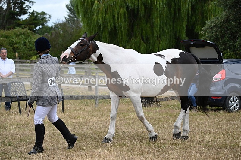 WJ6_8285 - Class 10 Coloured in Hand