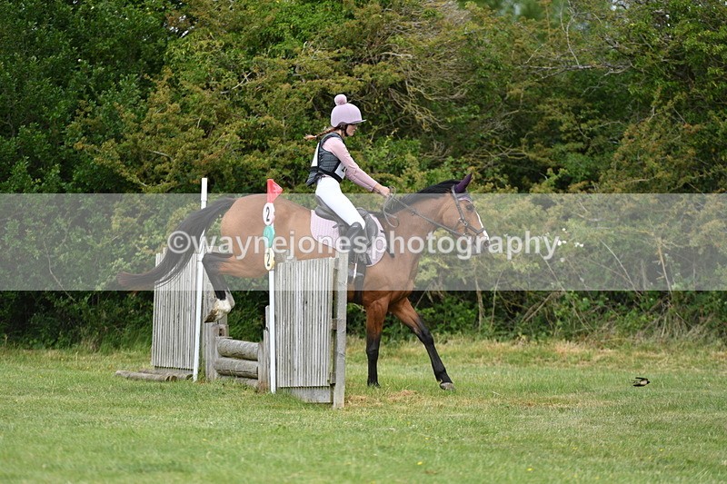 WJ5_2524 - Class 2 40cm