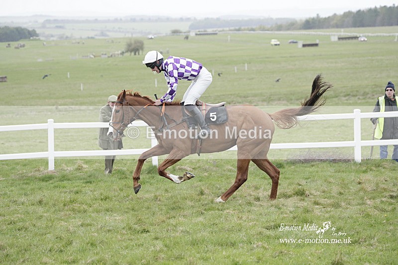 PtP 260323 0936 - New Forest Hounds Point-to-Point Larkhill 26/03/23